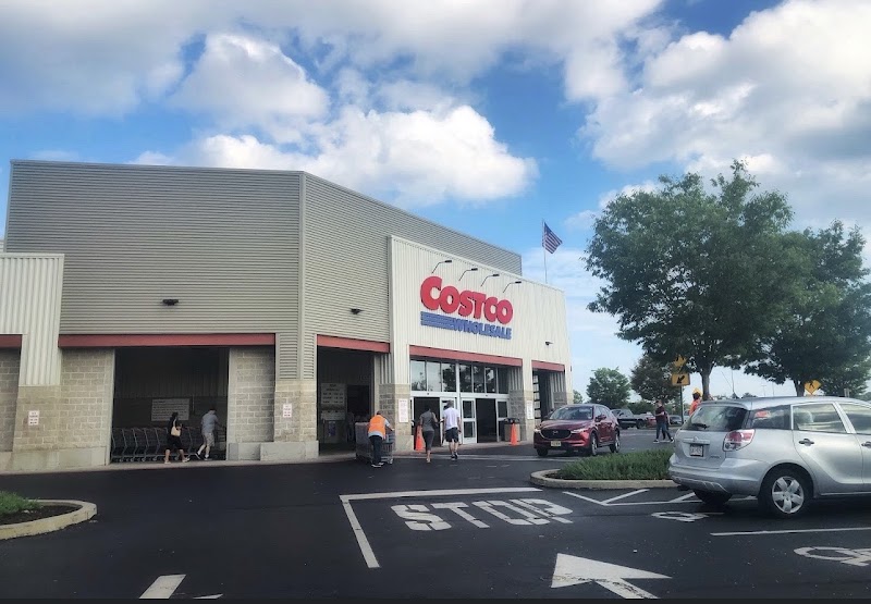 Costco Warehouse #1107 in CHICAGO, IL — silver in stock this week